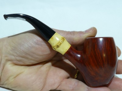 Ascorti NUS - Stand Up