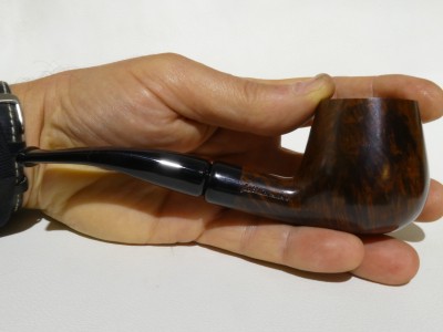 Fabrizio Romeo F - 1/4 bent Brandy