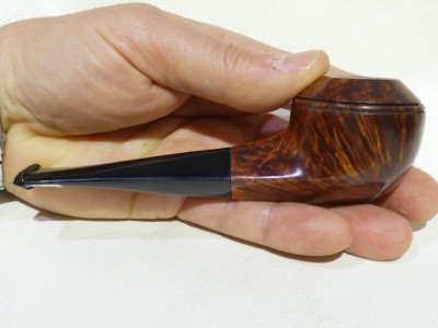 Lanzola 1 Angel O - Rhodesian