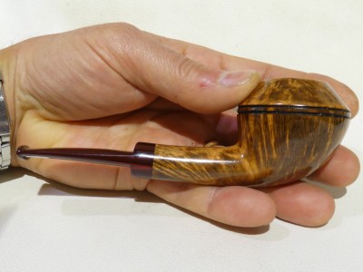 Franz 6624 - 1/8 bent Rhodesian