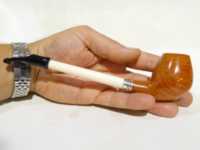 Ser Jacopo L2 C Albatro - half bent Egg