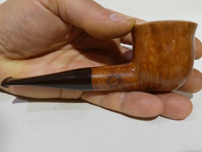 Amorelli ** Pot/Tulip