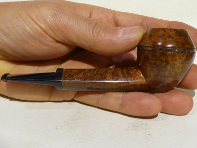 Franz 21 25 - Bulldog