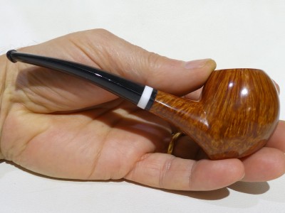 Corrado serie M 06/19