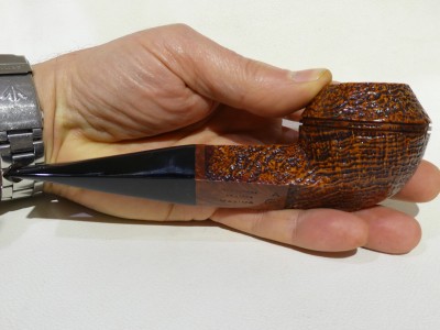 Ser Jacopo  S2 A MAXIMA - Bulldog