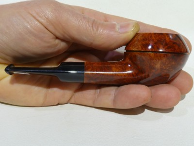 Mastro Geppetto LISCIA 1 - Straight Rhodesian