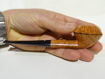 Caminetto 02 43 - Straight Rhodesian