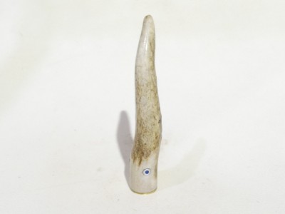 Pigino ARDOR in corno