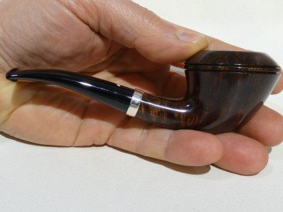 Caminetto 03 44 - half bent Rhodesian