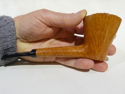 Ser Jacopo BRILLANTE 05 / 2025