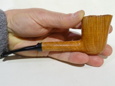 Ser Jacopo BRILLANTE 03 / 2026