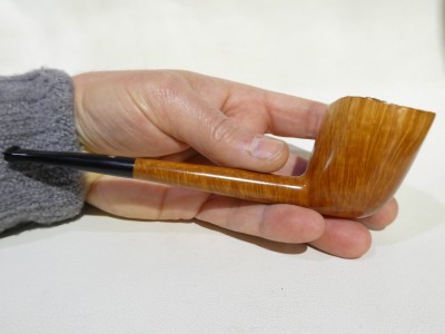 Ser Jacopo BRILLANTE 04 / 2026