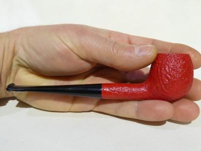 Ashton CLARET X - Apple (224)