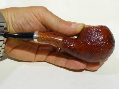 Ser Jacopo S2 A - Hawkbill