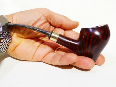 Gigliucci - Acorn cumberland variegato