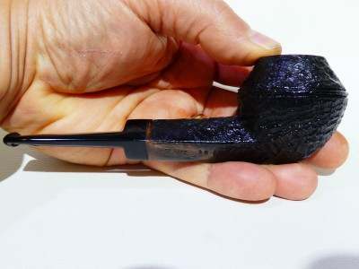 Franz sandblasted 26 (2026) - Rhodesian